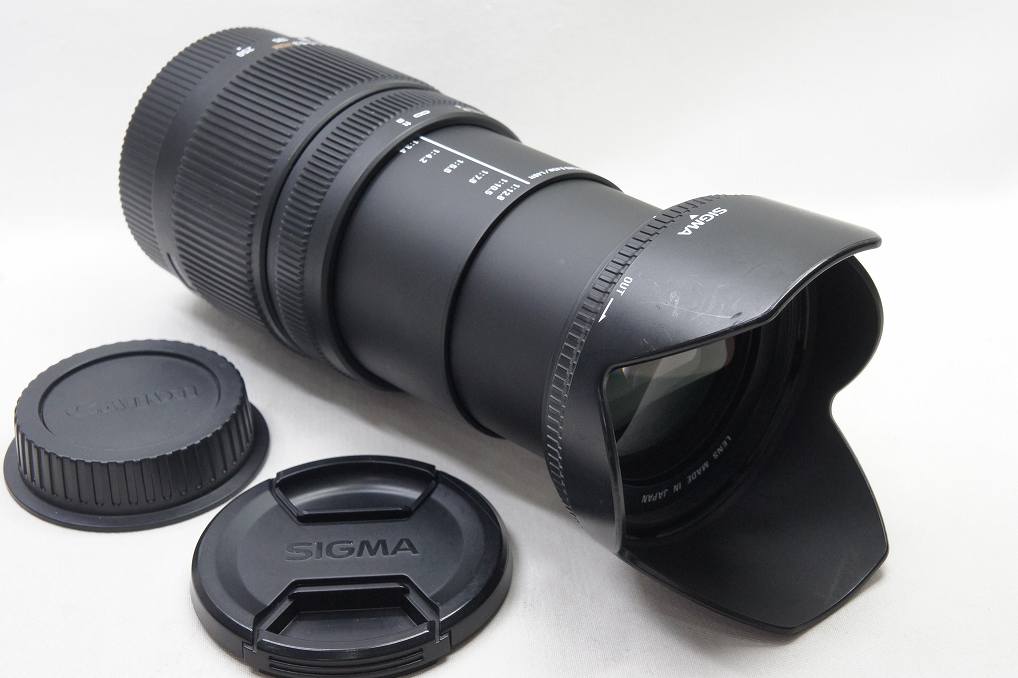 SIGMA シグマ 18-250mm F3.5-6.3 DC OS HSM Canon キヤノン EFマウント APS-C フード付 250621e