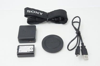 美品 SONY ソニー α6000 ボディ ILCE-6000 ミラーレス一眼カメラ シルバー 260529f
