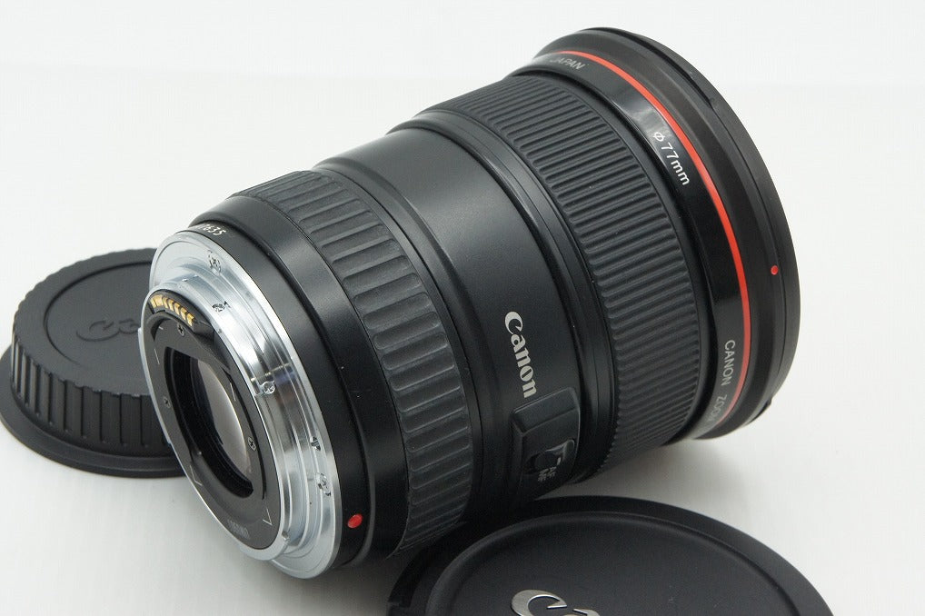 Canon EF 17-35mm F2.8L USM Full-Frame Zoom Lens with Hood 260305ab