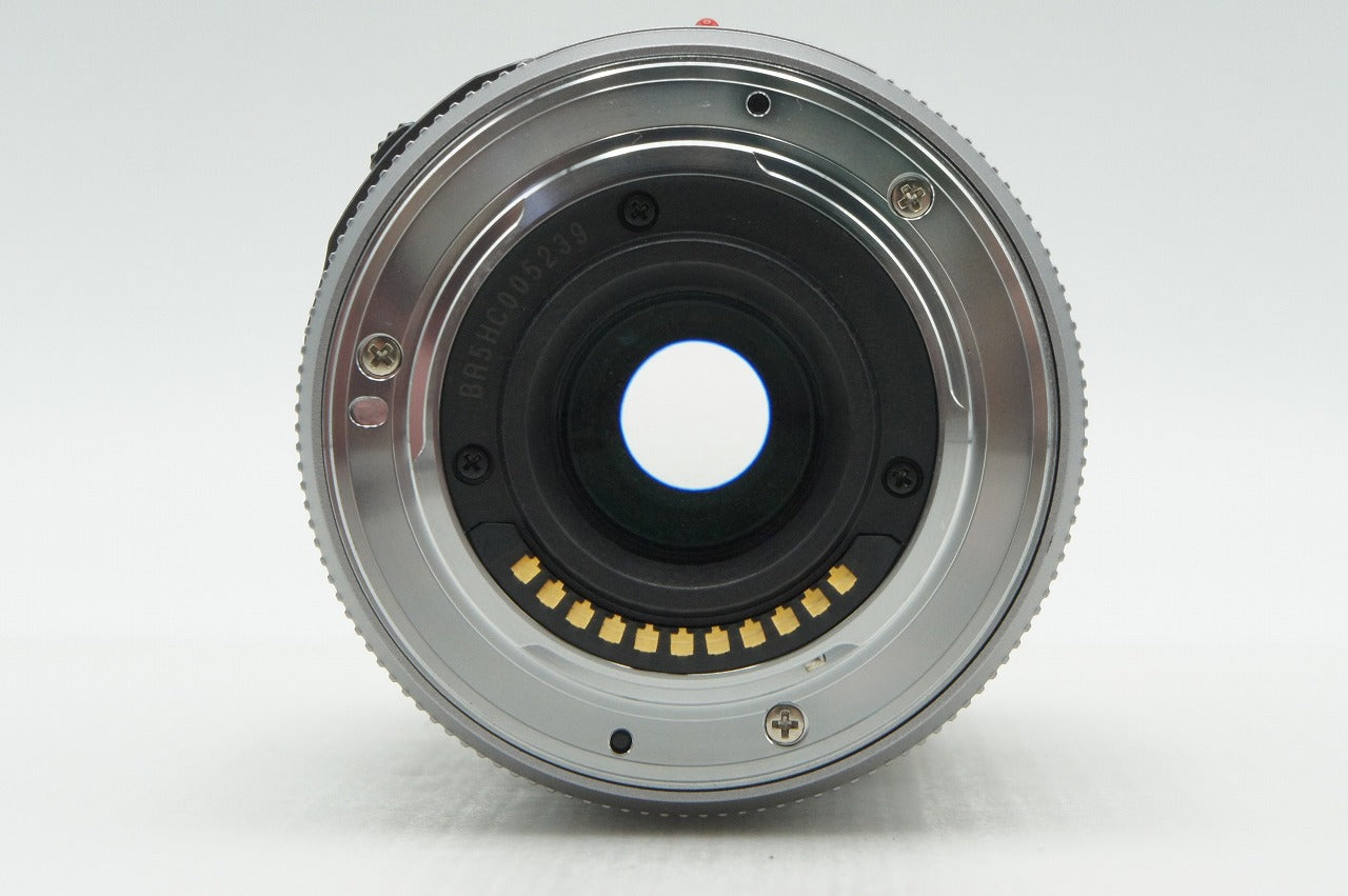 Panasonic LUMIX G X VARIO PZ 45-175mm F4.0-5.6 ASPH. POWER O.I.S. H-PS45175 マイクロフォーサーズ 260305x