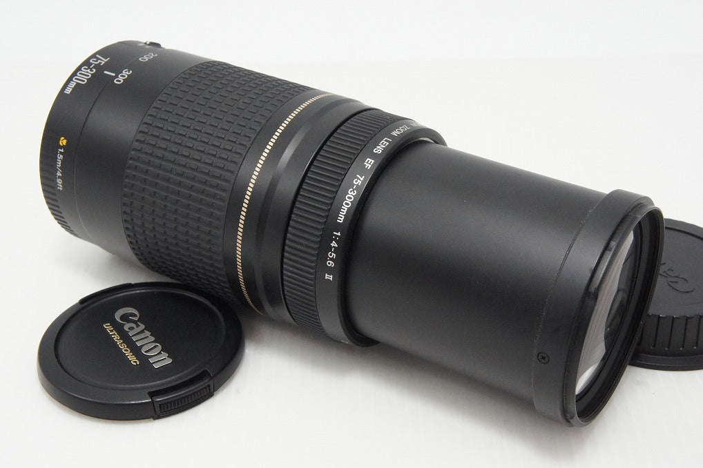 美品 Canon キヤノン EF 75-300mm F4-5.6 II USM フルサイズ ズームレンズ 260610ah