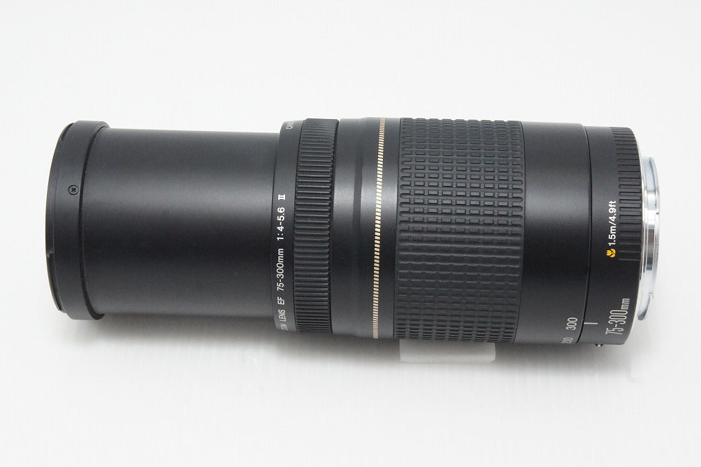 美品 Canon キヤノン EF 75-300mm F4-5.6 II USM フルサイズ ズームレンズ 260610ah
