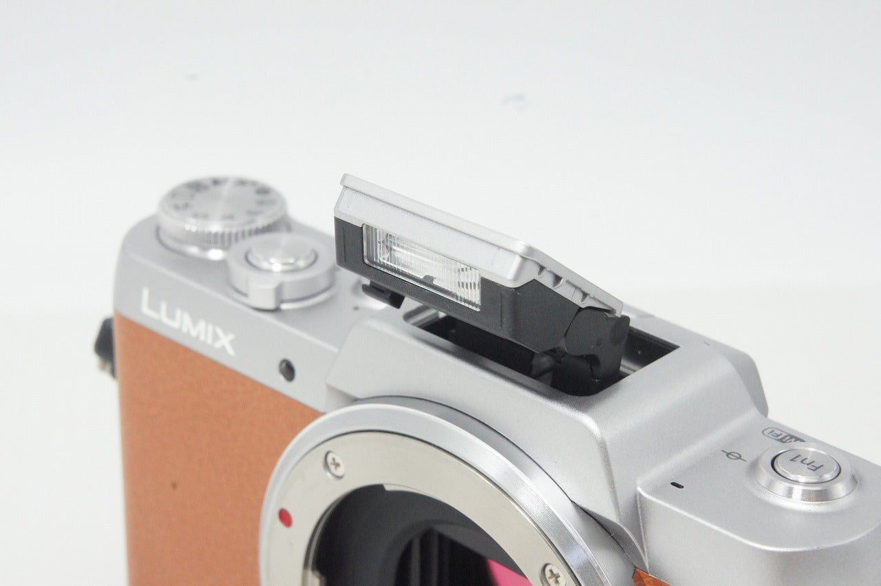 Panasonic パナソニック LUMIX DMC-GF7 ボディ ミラーレス一眼カメラ