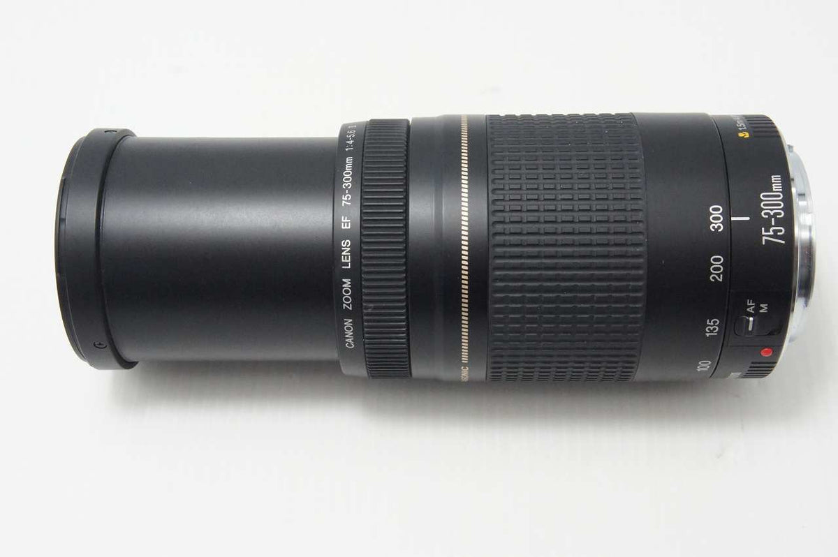 Canon キヤノン EF 75-300mm F4-5.6 II USM AFレンズ Canon EFマウント フルサイズ 261013c