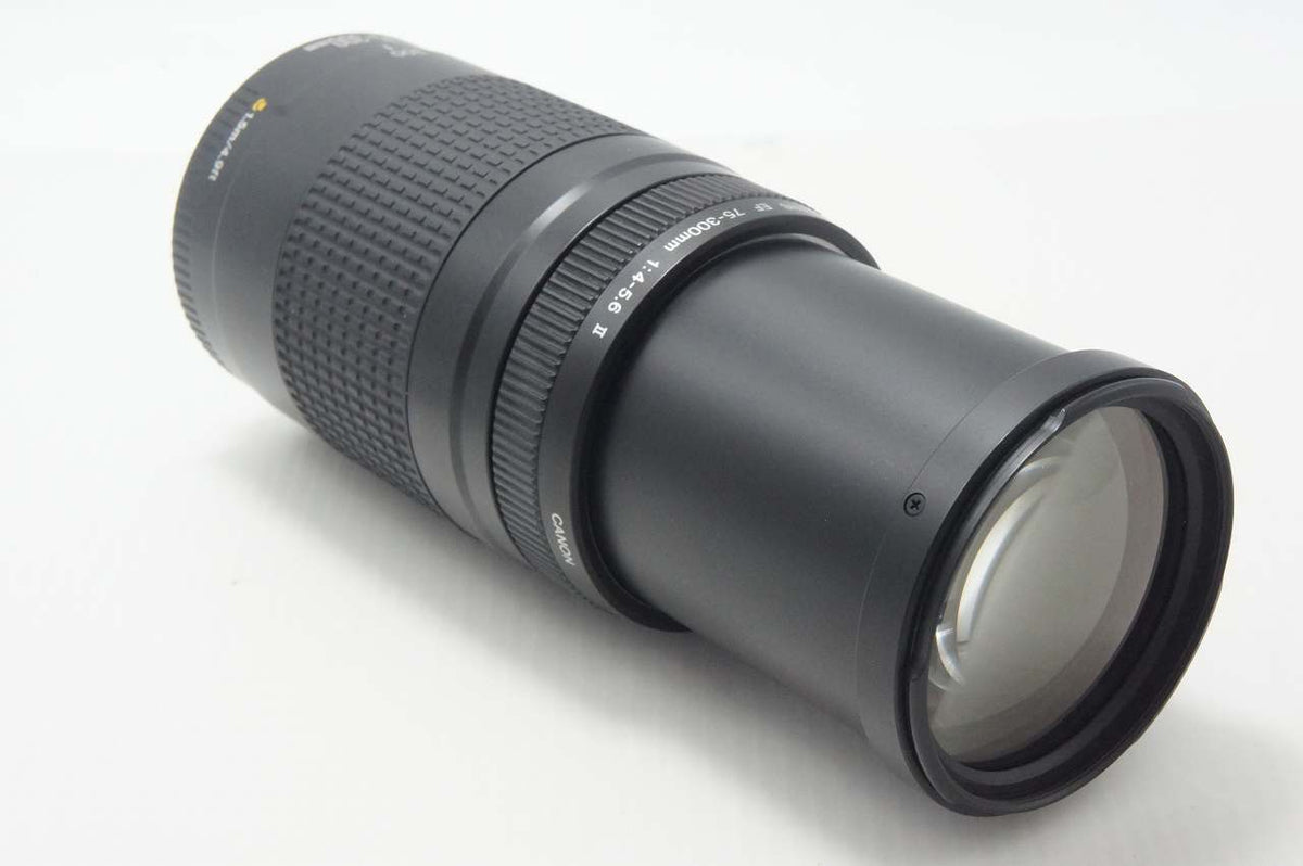 Canon キヤノン EF 75-300mm F4-5.6 II AFレンズ フルサイズ 261015s