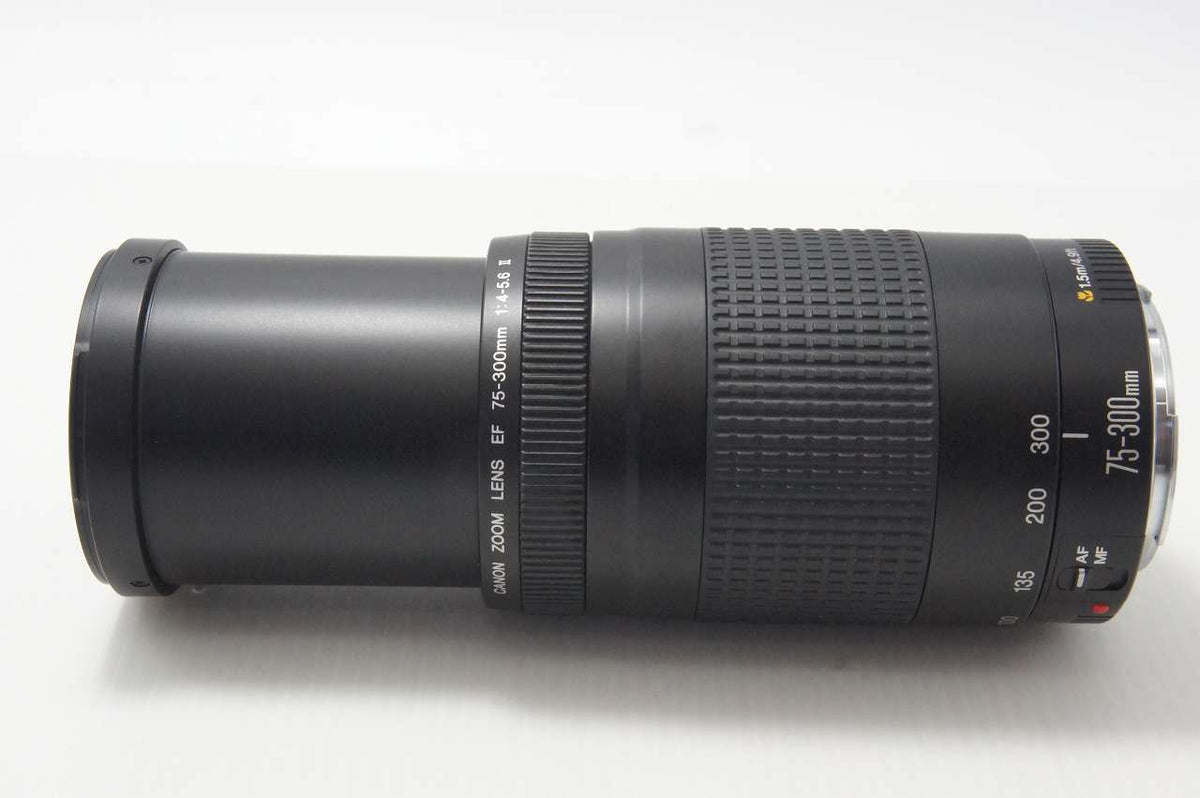 Canon キヤノン EF 75-300mm F4-5.6 II AFレンズ フルサイズ 261015s
