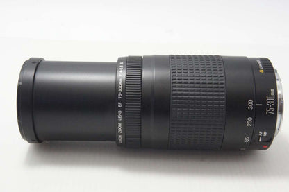 Canon キヤノン EF 75-300mm F4-5.6 II AFレンズ フルサイズ 261015s