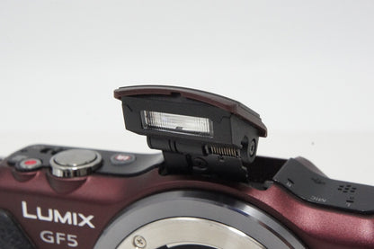 Panasonic パナソニック LUMIX DMC-GF5 ボディ ミラーレス一眼カメラ センシュアルブラウン 260417x