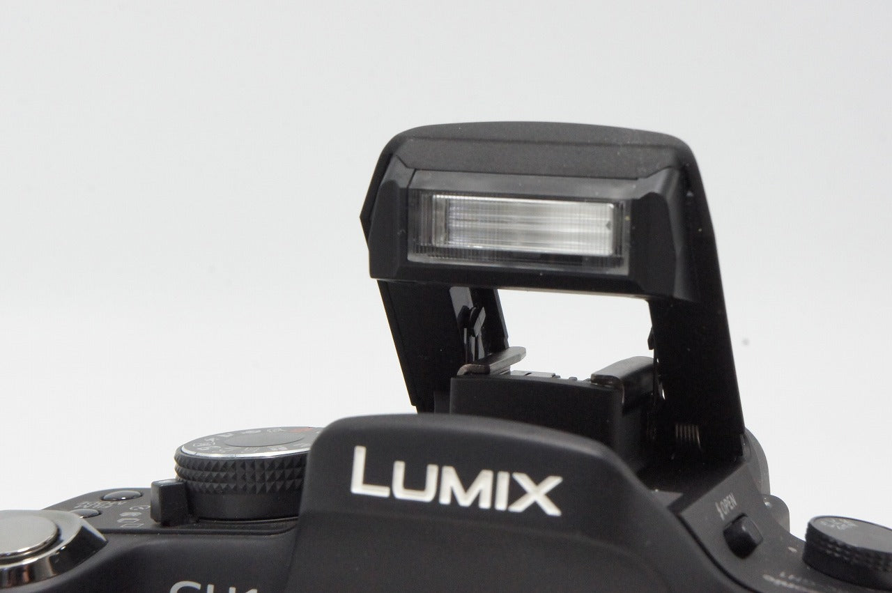 Panasonic LUMIX GH1 カメラ　ジャンク品 良品 Panasonic パナソニック LUMIX DMC-GH1 ボディ ミラーレス一眼