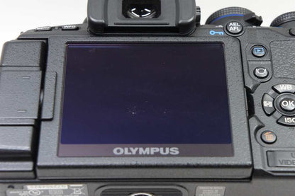 OLYMPUS E-620 + ZUIKO DIGITAL 14-42mm 標準ズームレンズキット デジタル一眼レフ 元箱付 250430f