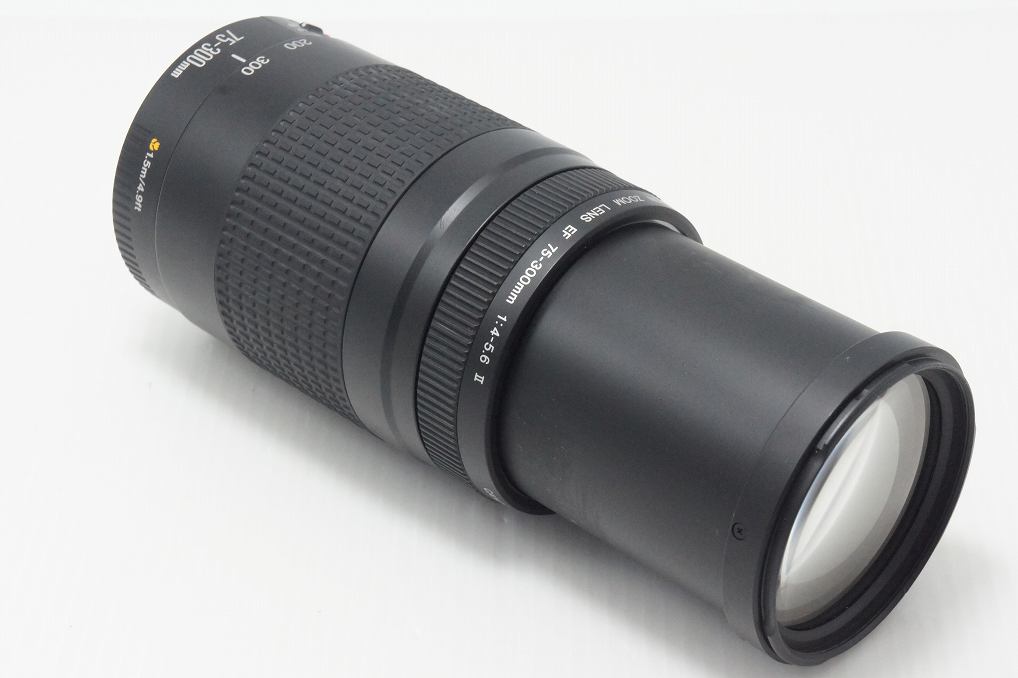 Canon キヤノン EF 75-300mm F4-5.6 II フルサイズ ズームレンズ 260807ac