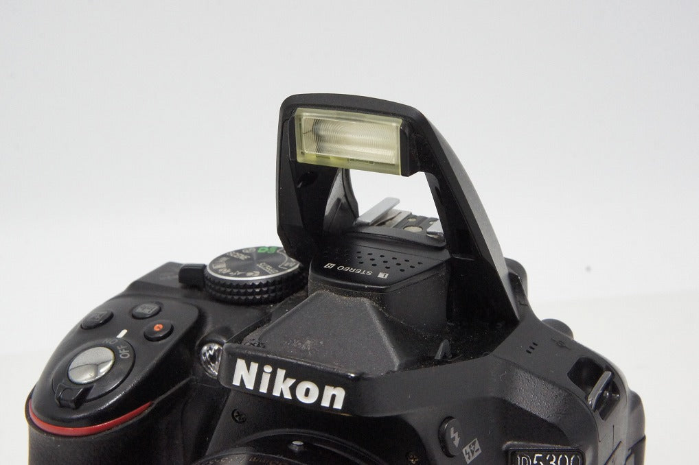 Nikon ニコン D5300 ボディ + AF-S DX 18-55mm VR II レンズキット デジタル一眼レフカメラ 260502z