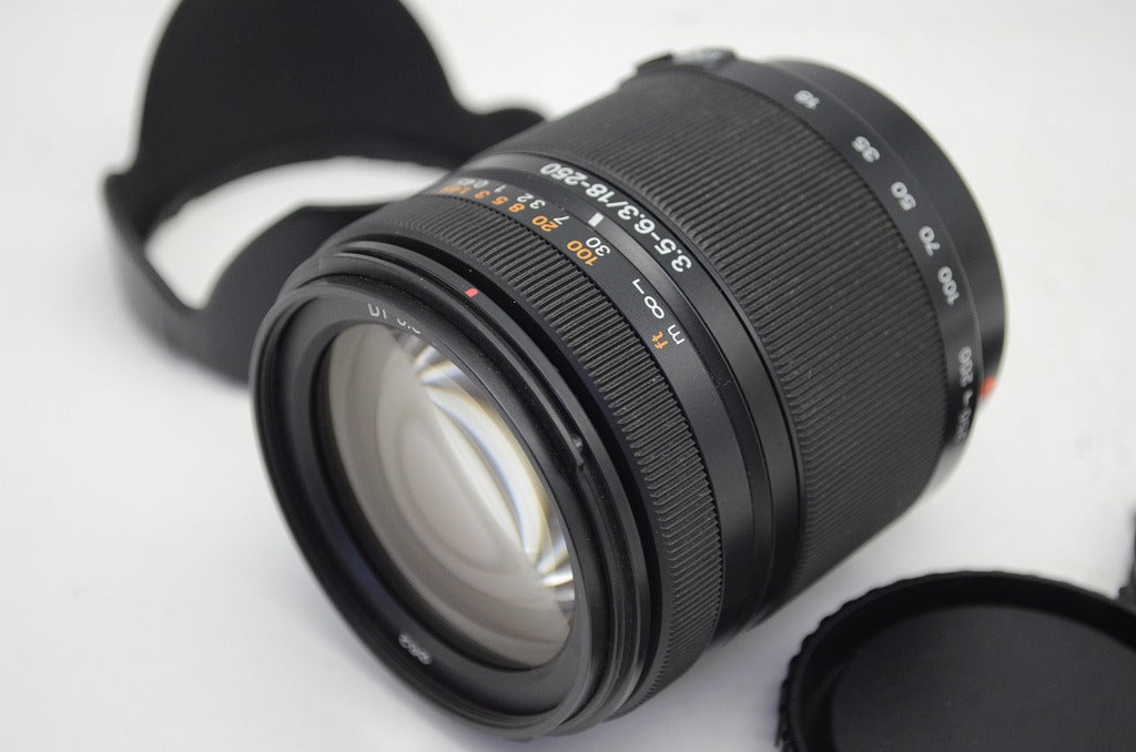 SONY DT 18-250mm F3.5-6.3 SAL18250 MINOLTA αマウント APS-C ズームレンズ フード付 250903j