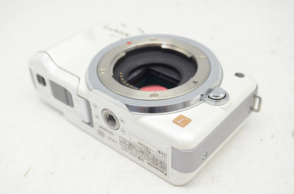 良品 Panasonic DMC-GF3 + 14-42mm F3.5-5.6 H-FS014042 レンズキット ミラーレス 元箱付 250910b