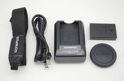 訳あり品 OLYMPUS オリンパス PEN E-P1 ボディ ミラーレス一眼カメラ シルバー 251113a