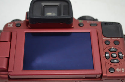 Panasonic パナソニック LUMIX DMC-G2 ボディ ミラーレス一眼カメラ レッド 250910k
