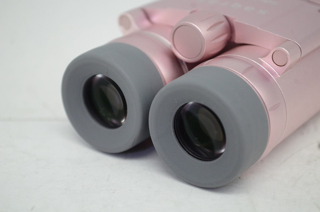 美品 Vixen ビクセン 双眼鏡 Saqras サクラス H6×16 元箱付 251008o